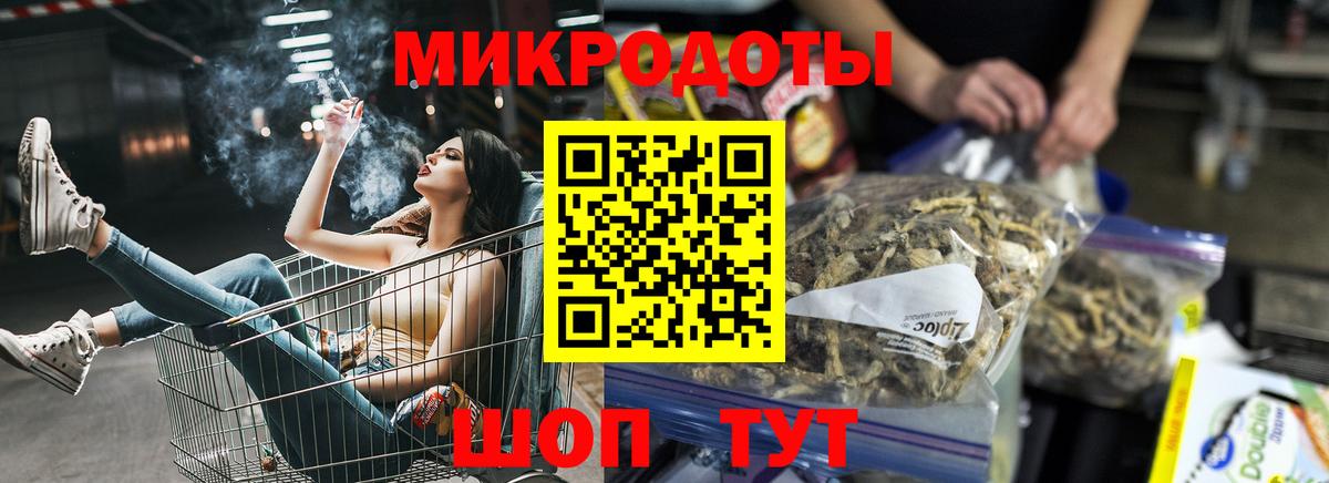 Псилоцибиновые грибы Psilocybe Благовещенск